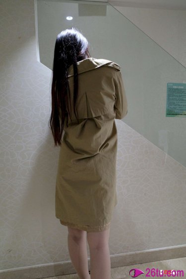 红知蛛